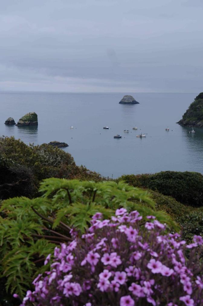 Trinidad Bay Bed And Breakfast Hotel ภายนอก รูปภาพ